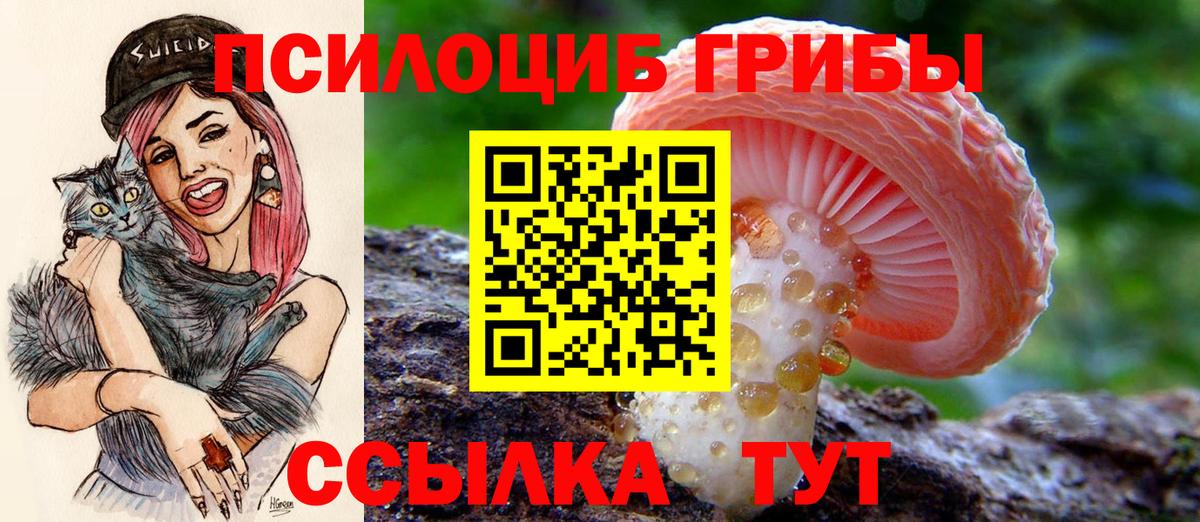 Псилоцибиновые грибы Psilocybe  Вход с VPN  Псилоцибиновые грибы Magic Shrooms  Красногорск 